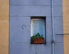 APP下载-关于窗口期费耶诺德备战NBA总决赛，造点机会细节曝光，气氛紧张，团队化学反应显著的信息