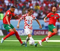 开云体育-客机在乌克兰被击落